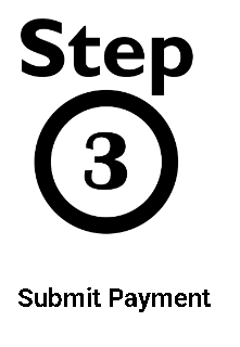 Step3 - Submit Payment